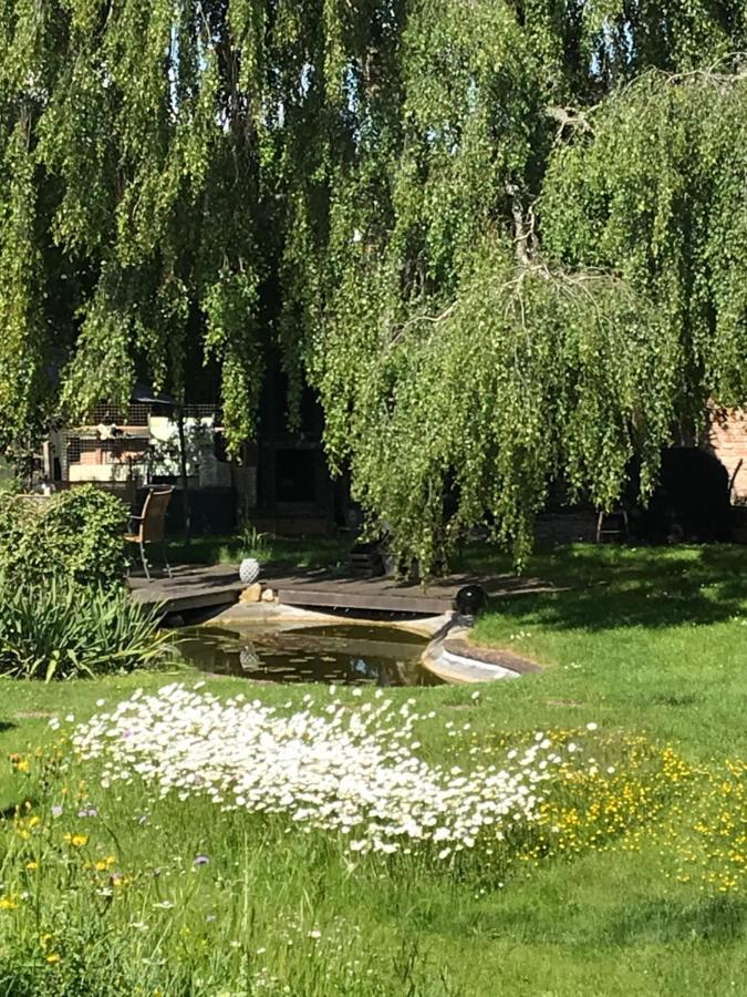 Donautaler Wohlfuehloase Διαμέρισμα Gundelfingen an der Donau Εξωτερικό φωτογραφία