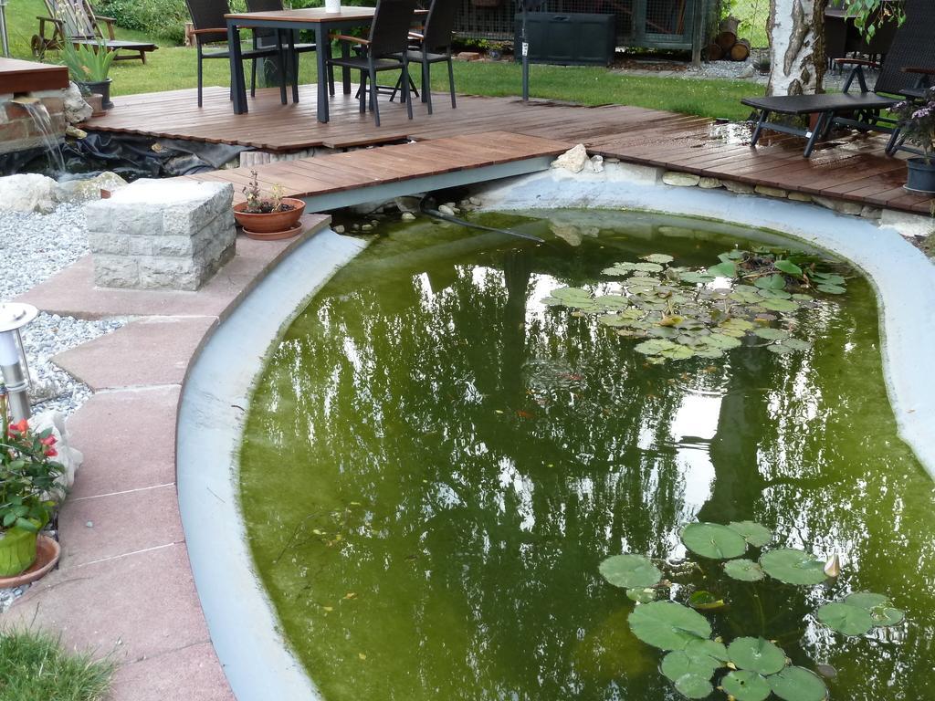 Donautaler Wohlfuehloase Διαμέρισμα Gundelfingen an der Donau Δωμάτιο φωτογραφία